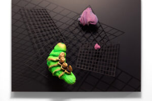 Perceived Validation