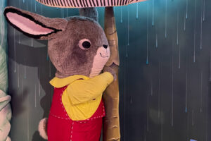 RHole Bunny