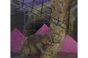 The Happy Castor_EricDuranCarver